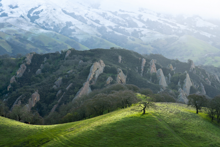 Just another early morning at work for a Sequoia biologist performing surveys near Shell Ridge after a light dusting of snow on Mt. Diablo.