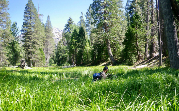 Sequoia's Principal, Tashi, performing transect surveys along the Mokelumne River to monitor effects of long-term river flow regimes on plants and wildlife along the river.