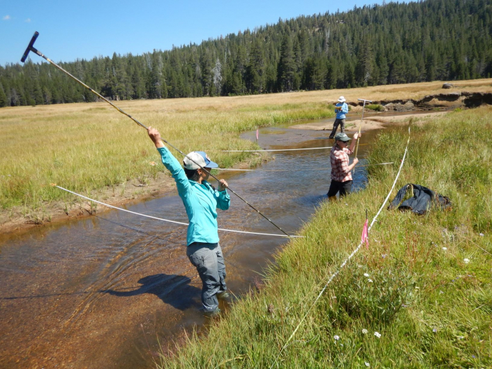 Staff biologist Liz Lopez setting up transects along Meadow Lakes in the Sierras during the Mokelumne Riparian Monitoring project.