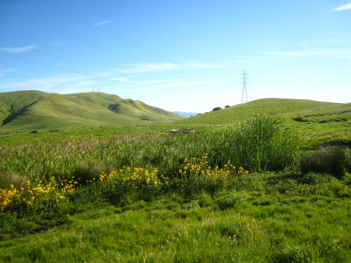 A beautiful spring day collecting data along a PG&E transmission line in south San Jose.